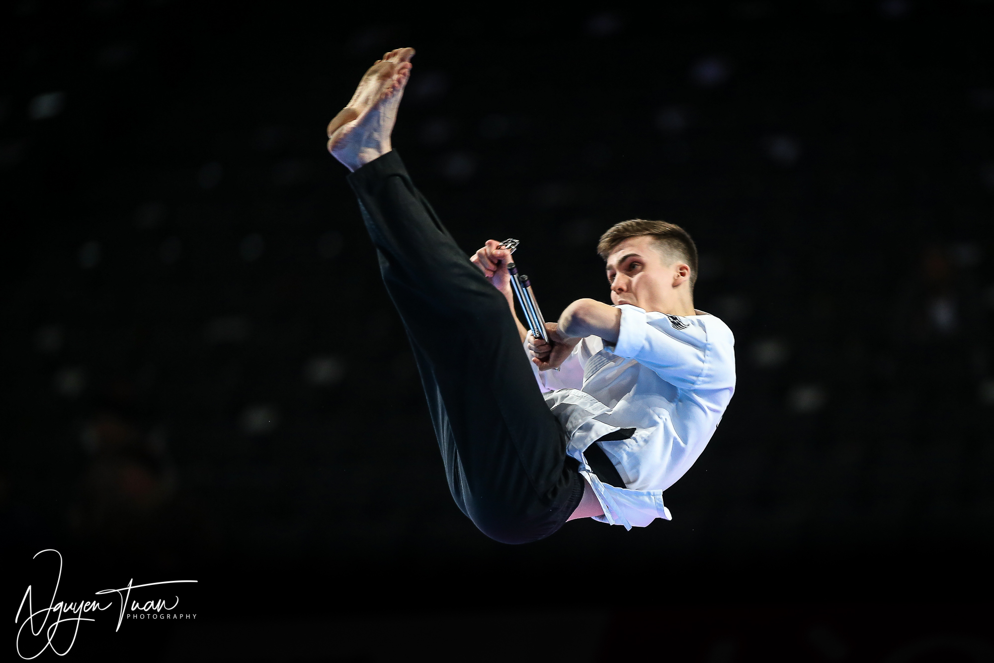 20190324 Festival des Arts Martiaux 0214